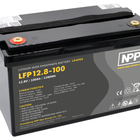 Batteria al litio LiFePO4 12,8V 100Ah NPP LFP12.8-100