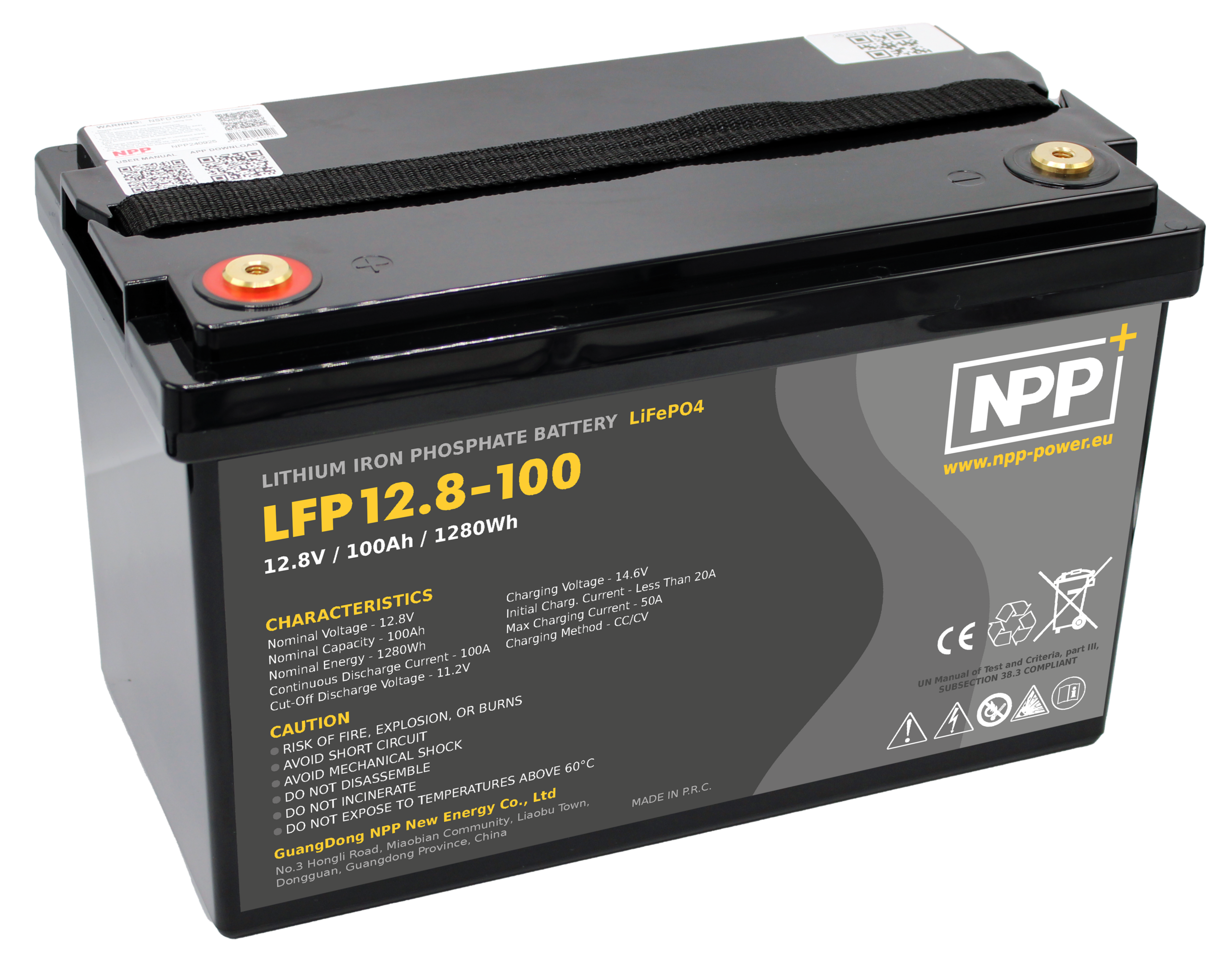 Batteria al litio LiFePO4 12,8V 100Ah NPP LFP12.8-100